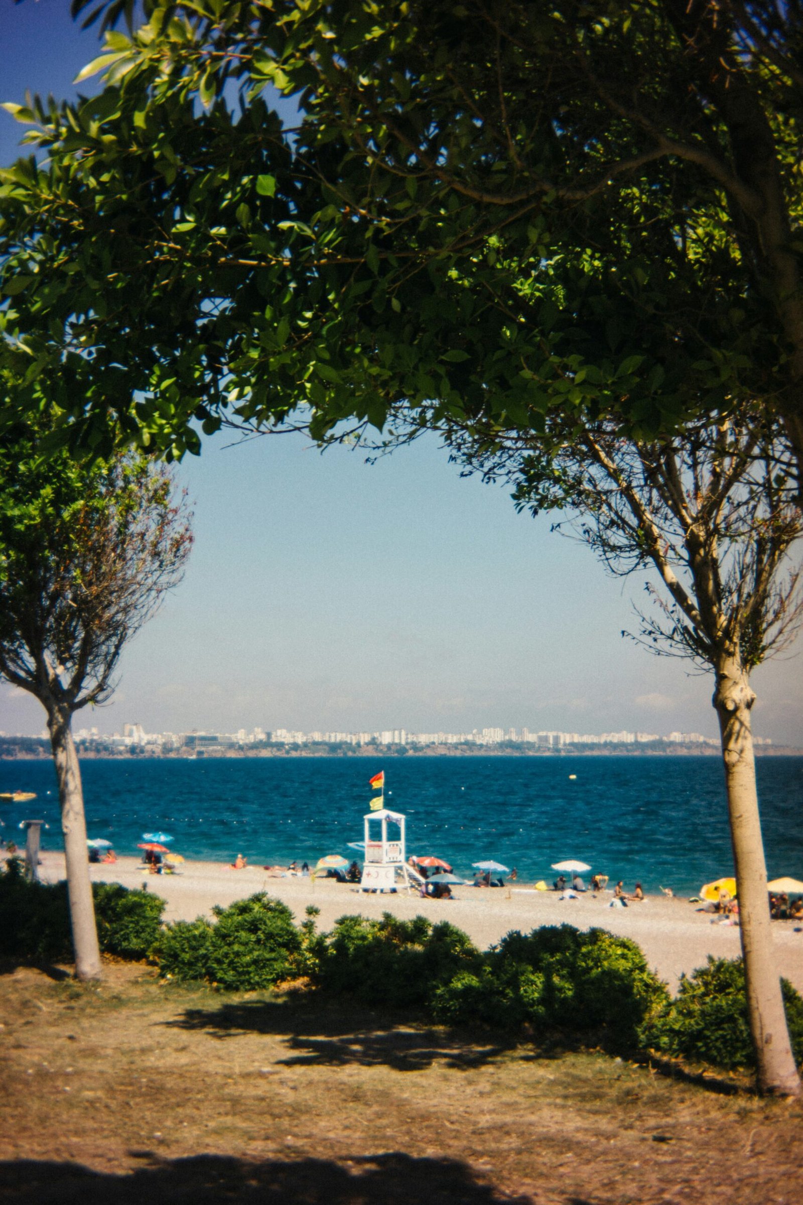 A view of a beach through some trees