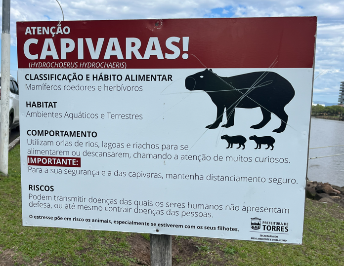 Risco de contaminação capivaras
