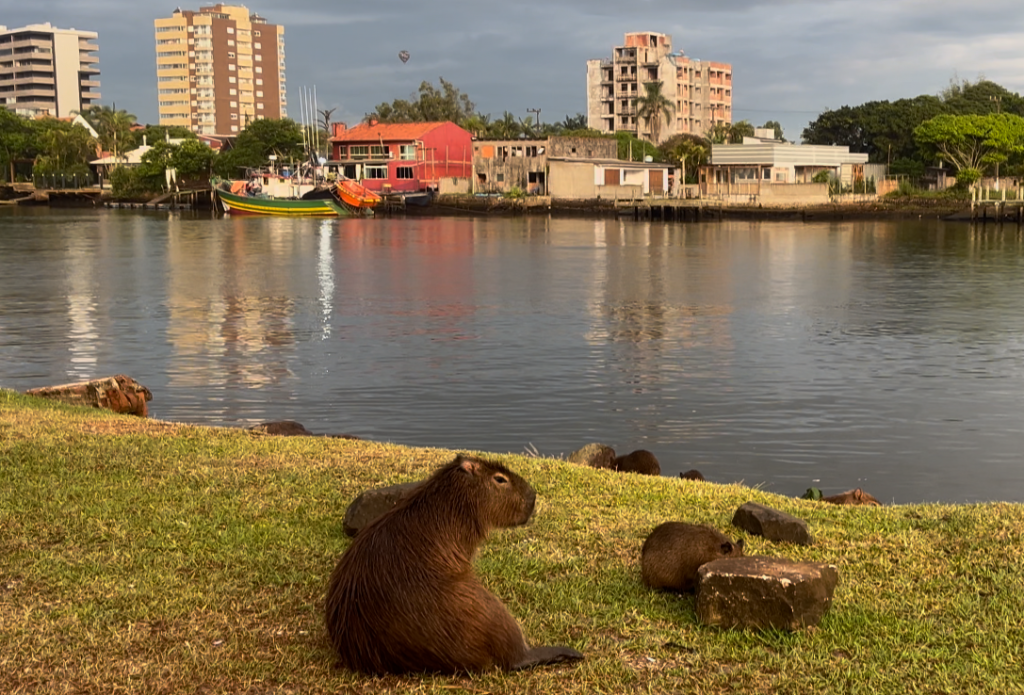 Pontos Turísticos GRATUITOS de Torres