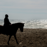 Cavalgada do Mar em Torres 2026