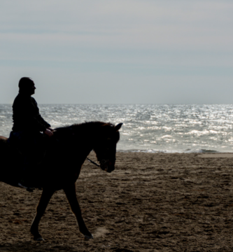 Cavalgada do Mar em Torres 2026