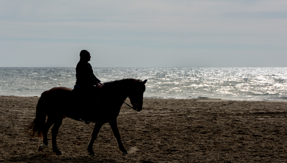 Cavalgada do Mar em Torres 2026